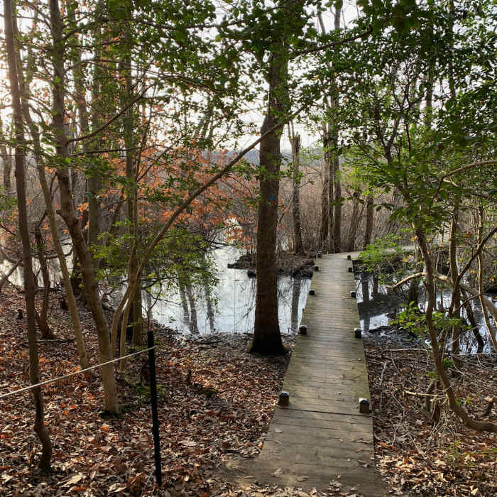 Start of the boardwalk looking west Near Orange Loop