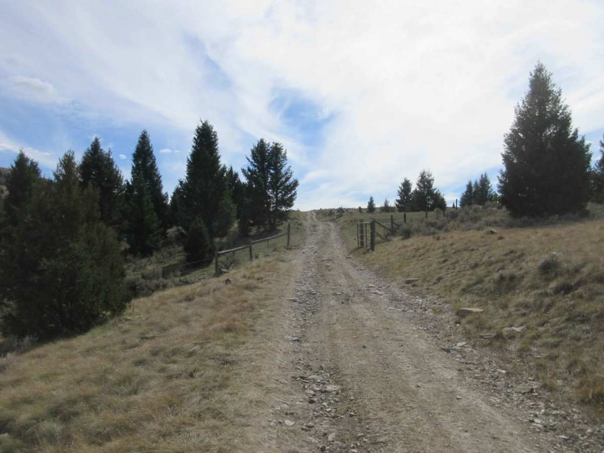 Cottonwood Creek - FS8337 photo 6