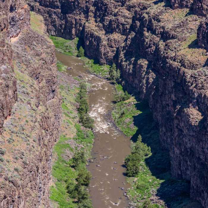 Near Bruneau Canyon Overlook