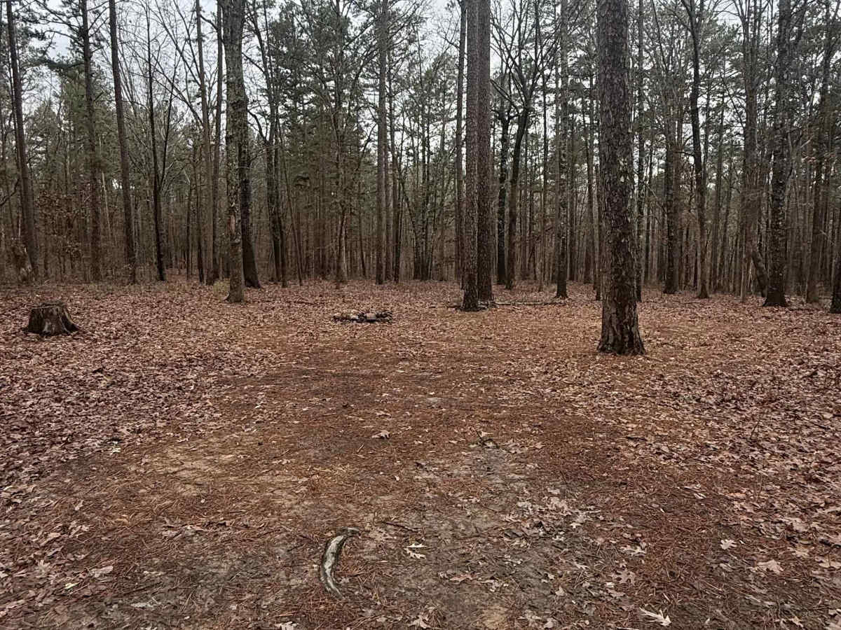 Log Lick Hollow photo 3