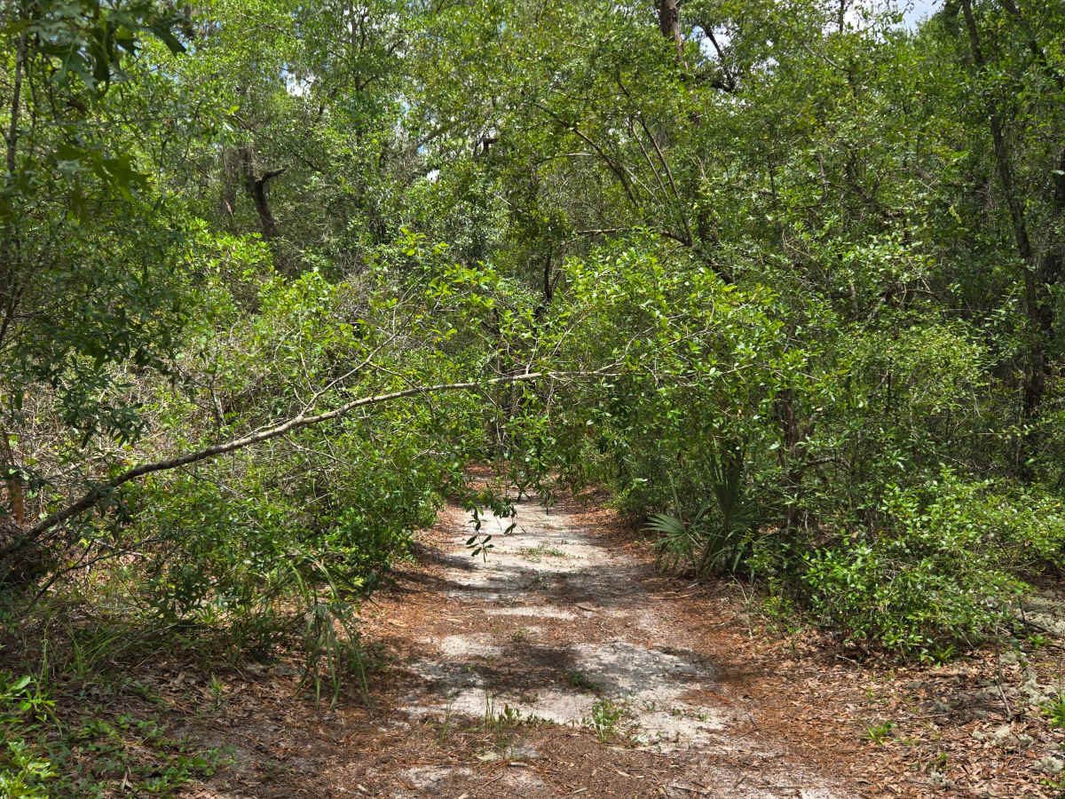 Lake Eaton Way photo 5