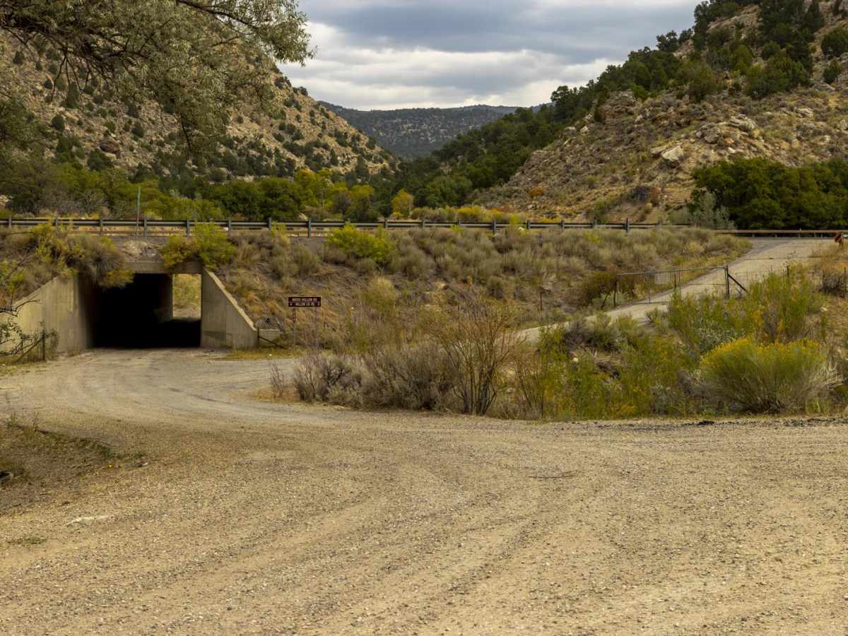 Water Hollow Road photo 2