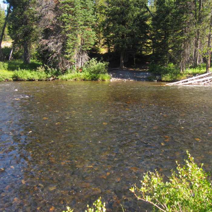 Ford across the Falls River in late August. Near Pitchstone Plateau Trail