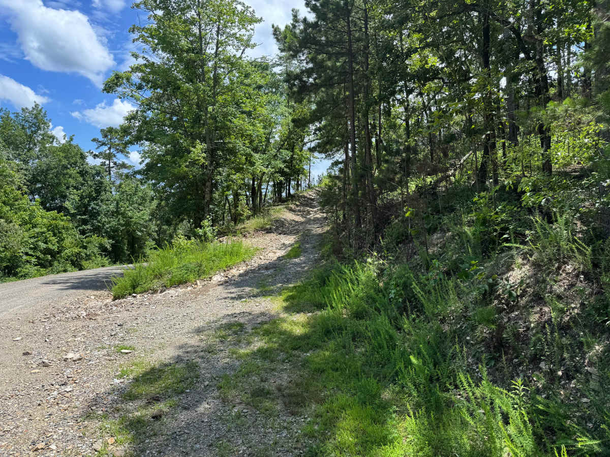 Gaston Mountain trail photo
