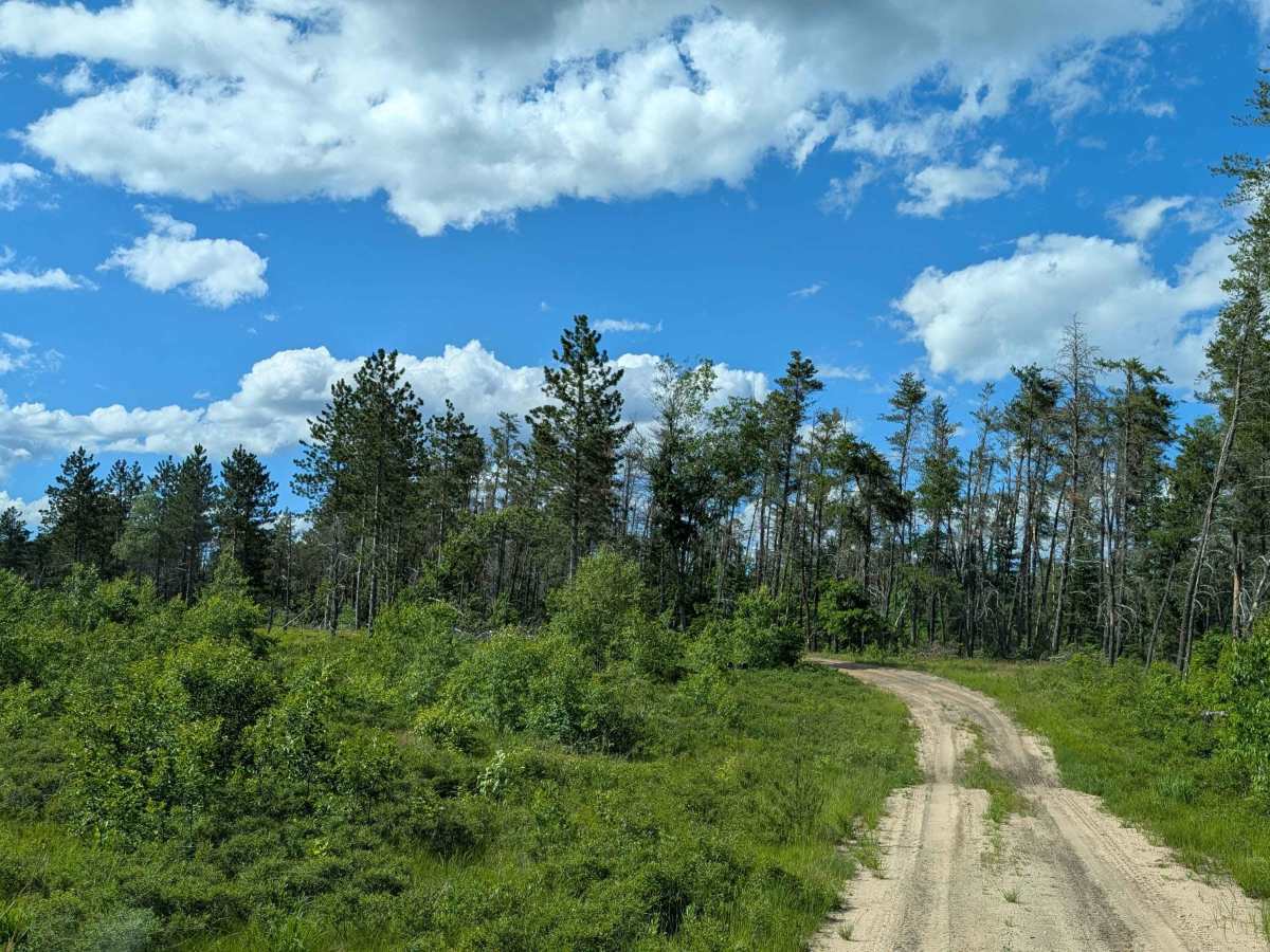 FS 4851 trail photo