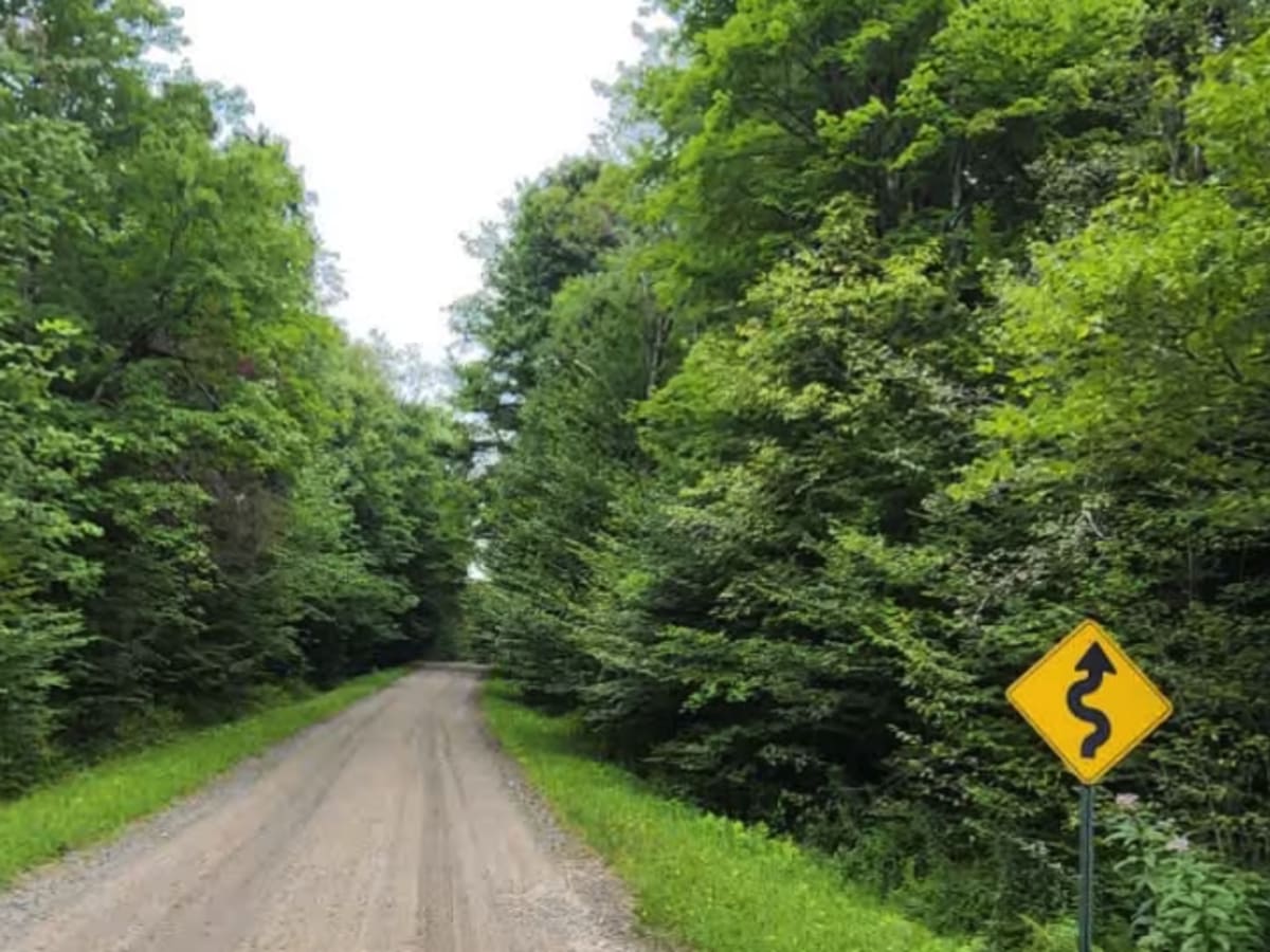 O'Hara Road photo 3