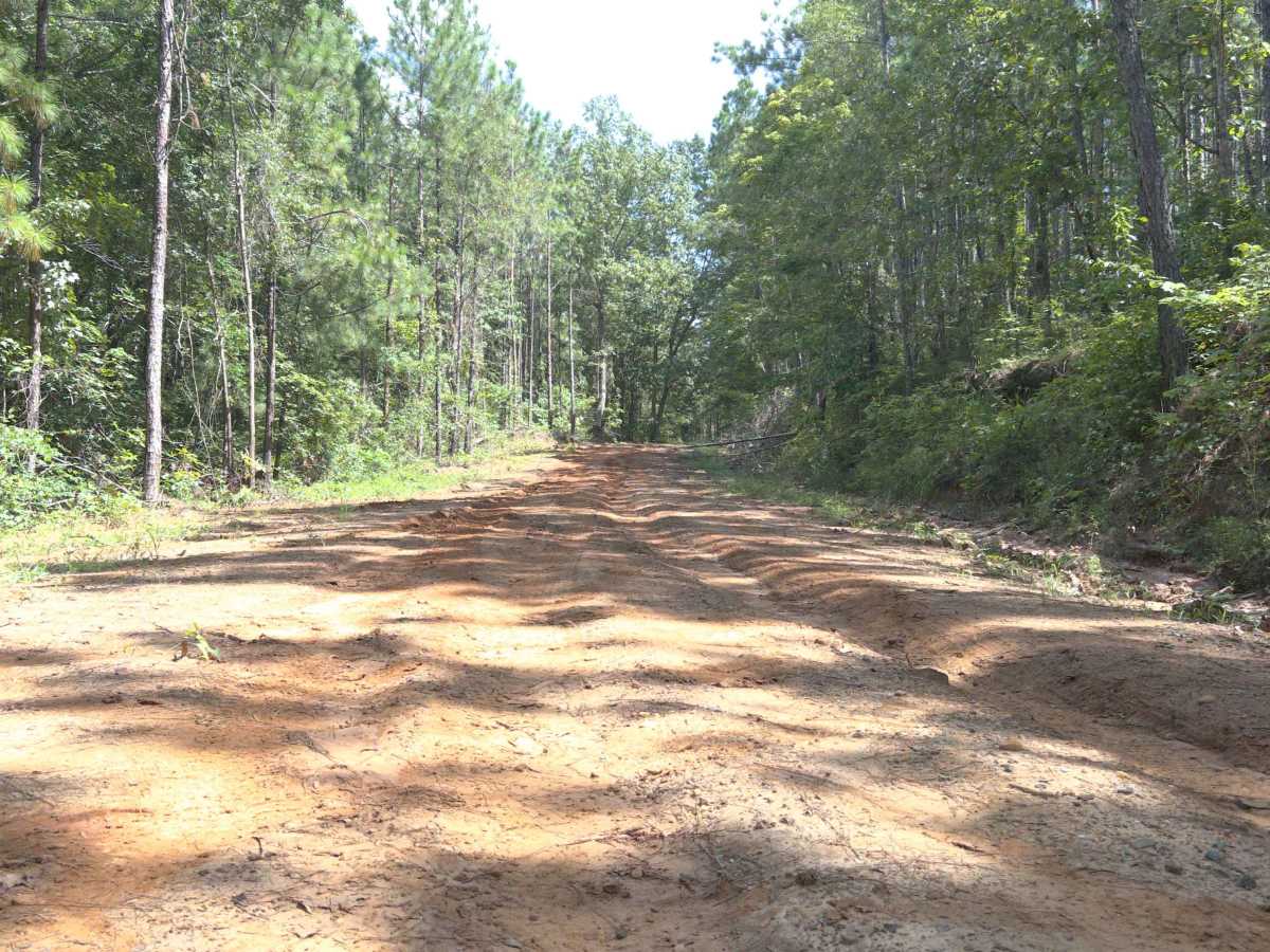 Dixie Road - FS 421 photo 6