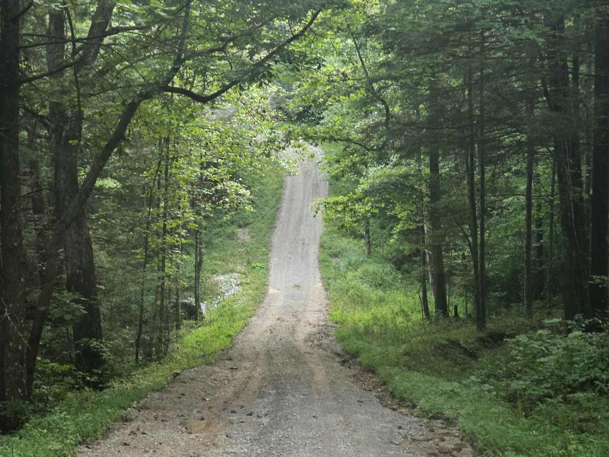 Joe Branch Road photo 2
