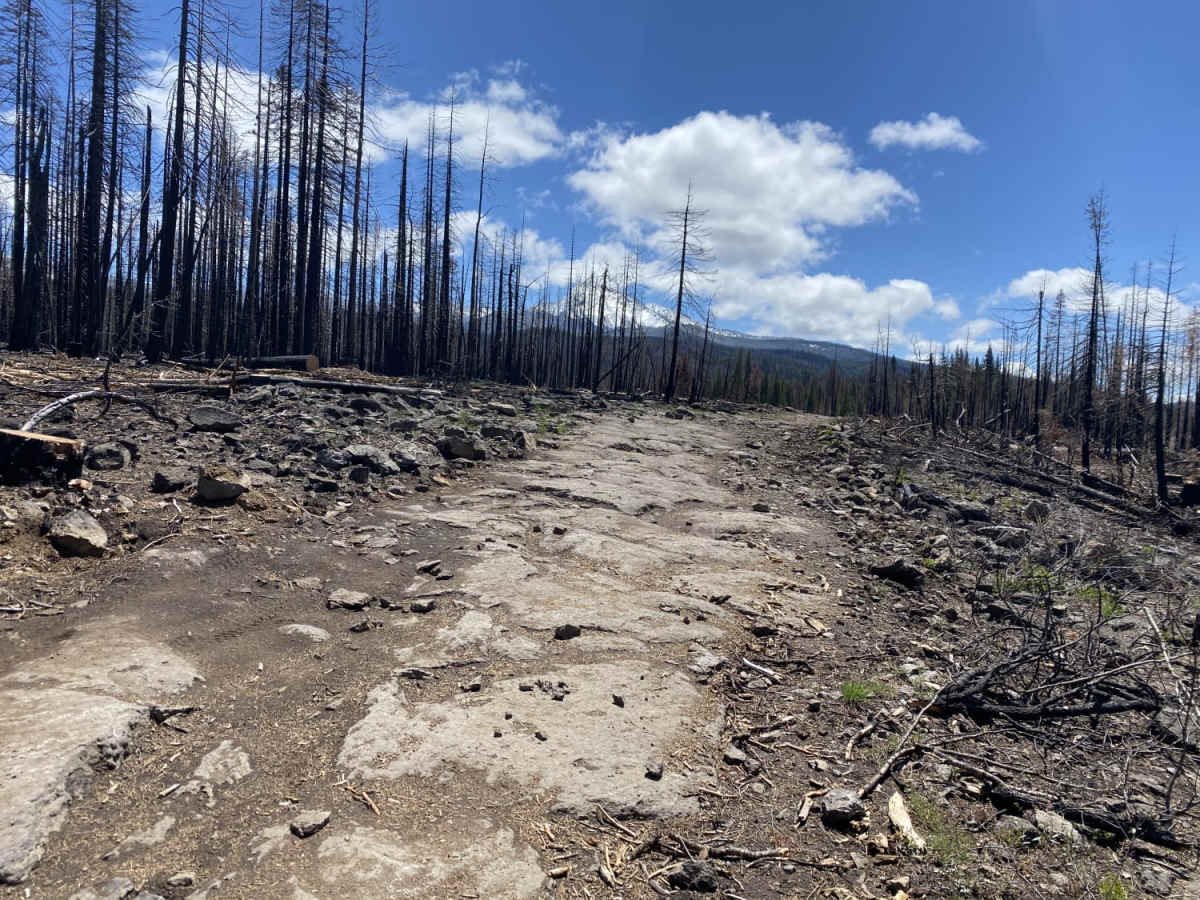Sheep Creek photo 3