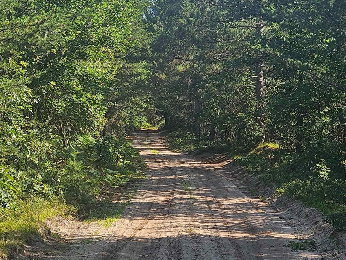Dyer Lake Drive photo 3
