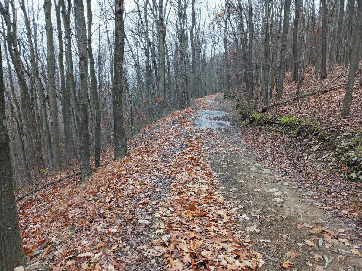 Outer Loop West - Rock Run Recreation Area photo 5