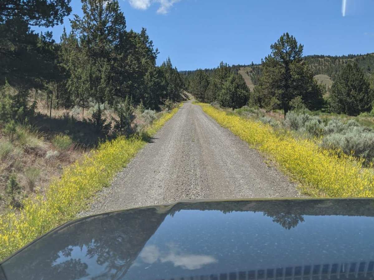 Wild Cattle Trail trail photo