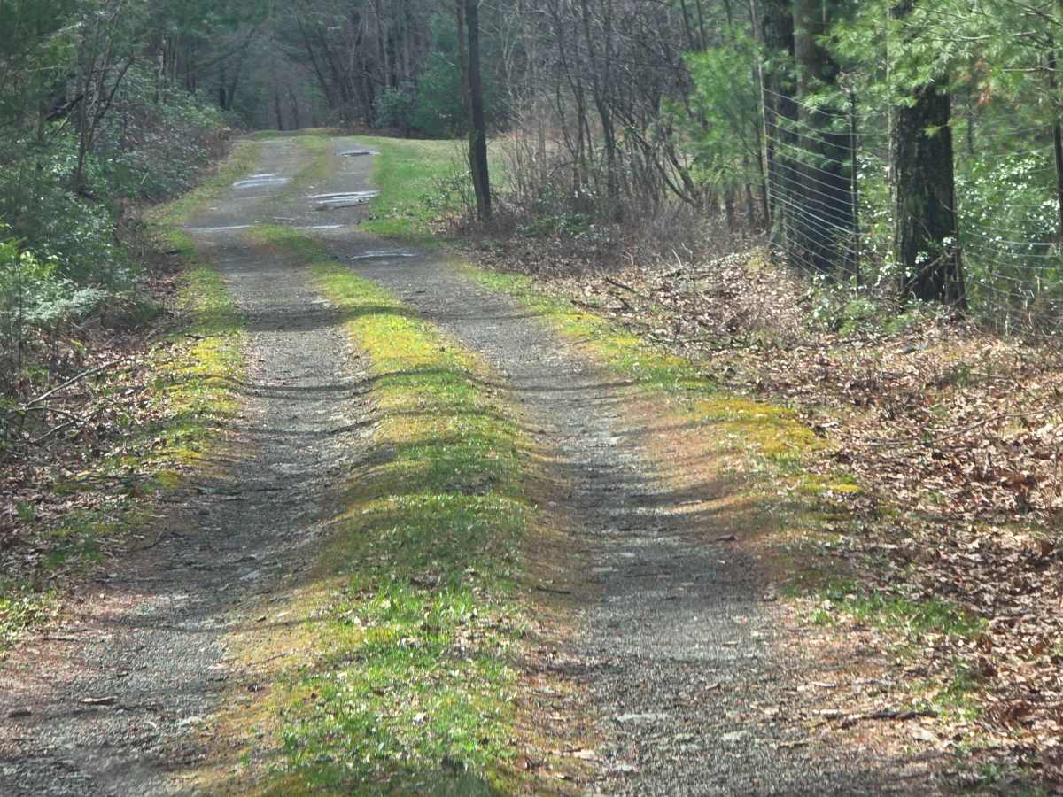 Heintz Trail photo 2