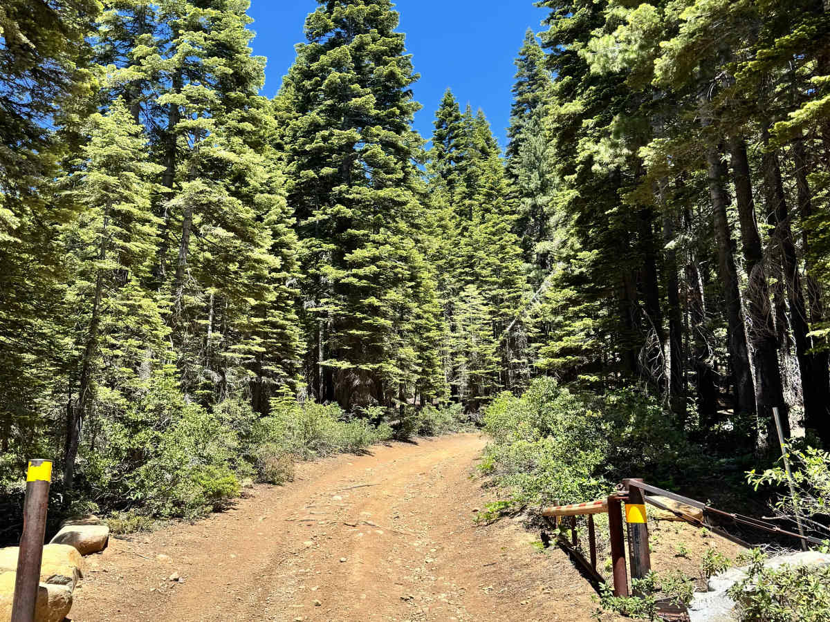Saddleback Lookout - FS 25 trail photo