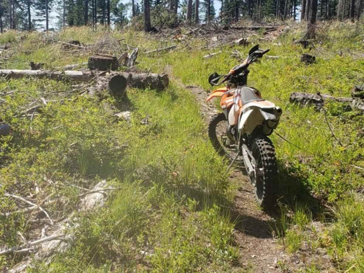 Boyd Mountain photo 3