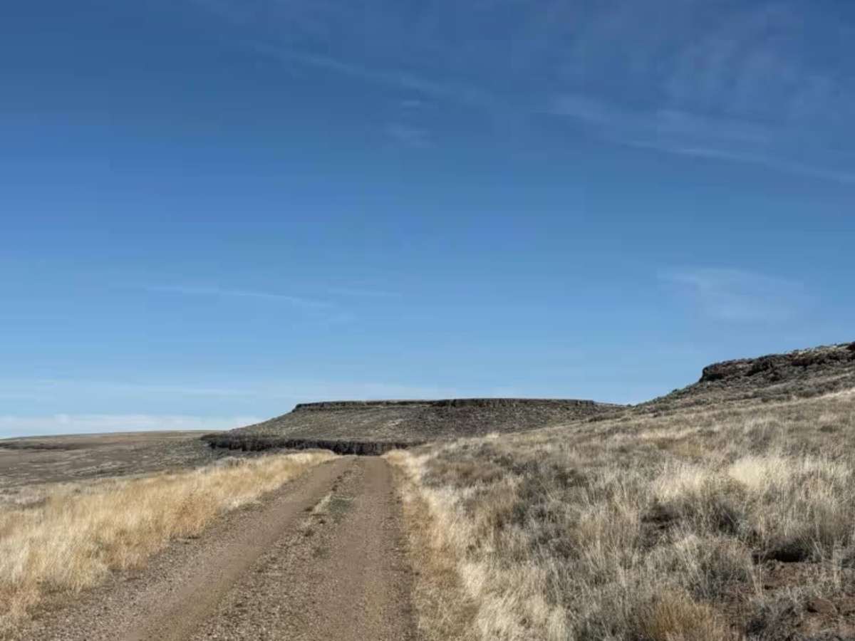Sheldon Wildlife Refuge & Yellow Peak  photo 5