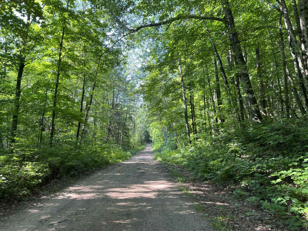 Deep Hole Lake Road photo 4