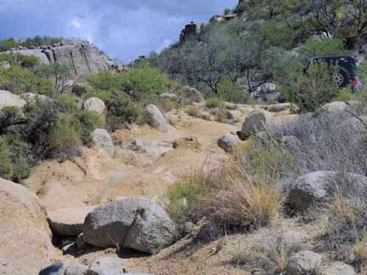 Mud Springs photo 2