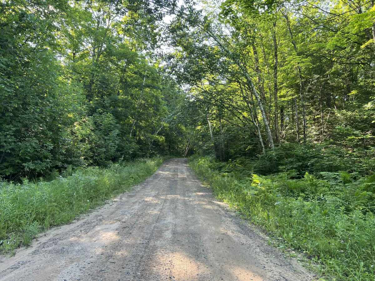 Brady Lake Road photo 6