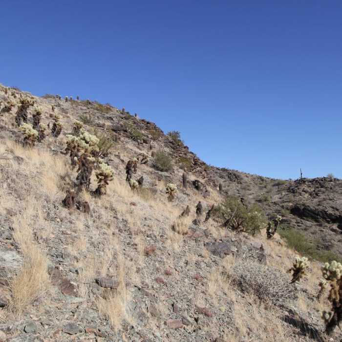 Near Pyramid Trail Hike