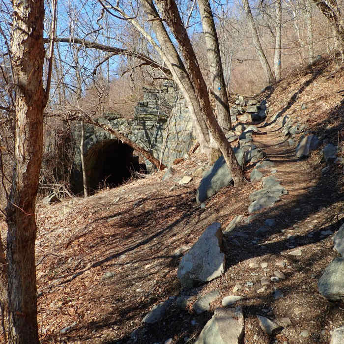 Near Dunderberg, Bald Mountain, and Timp Loop