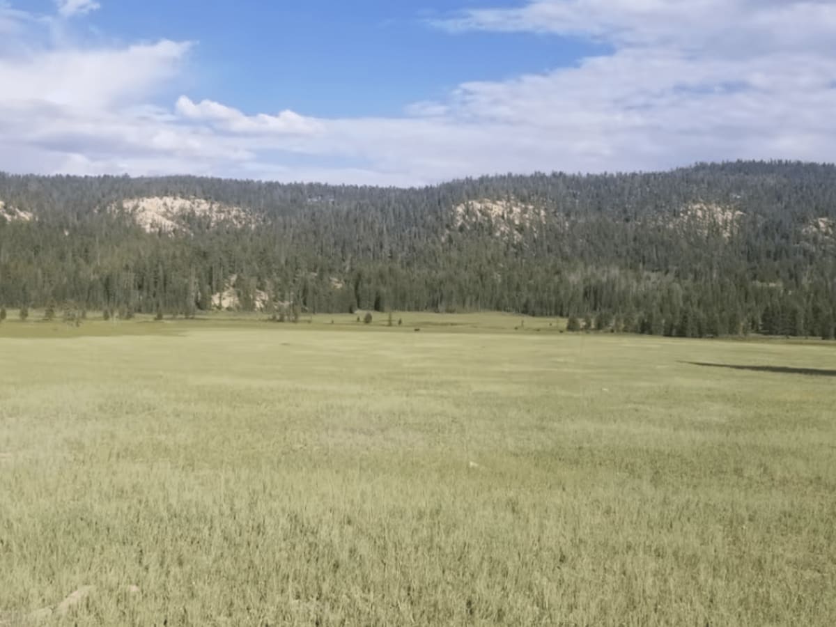 Straight Canyon photo 3