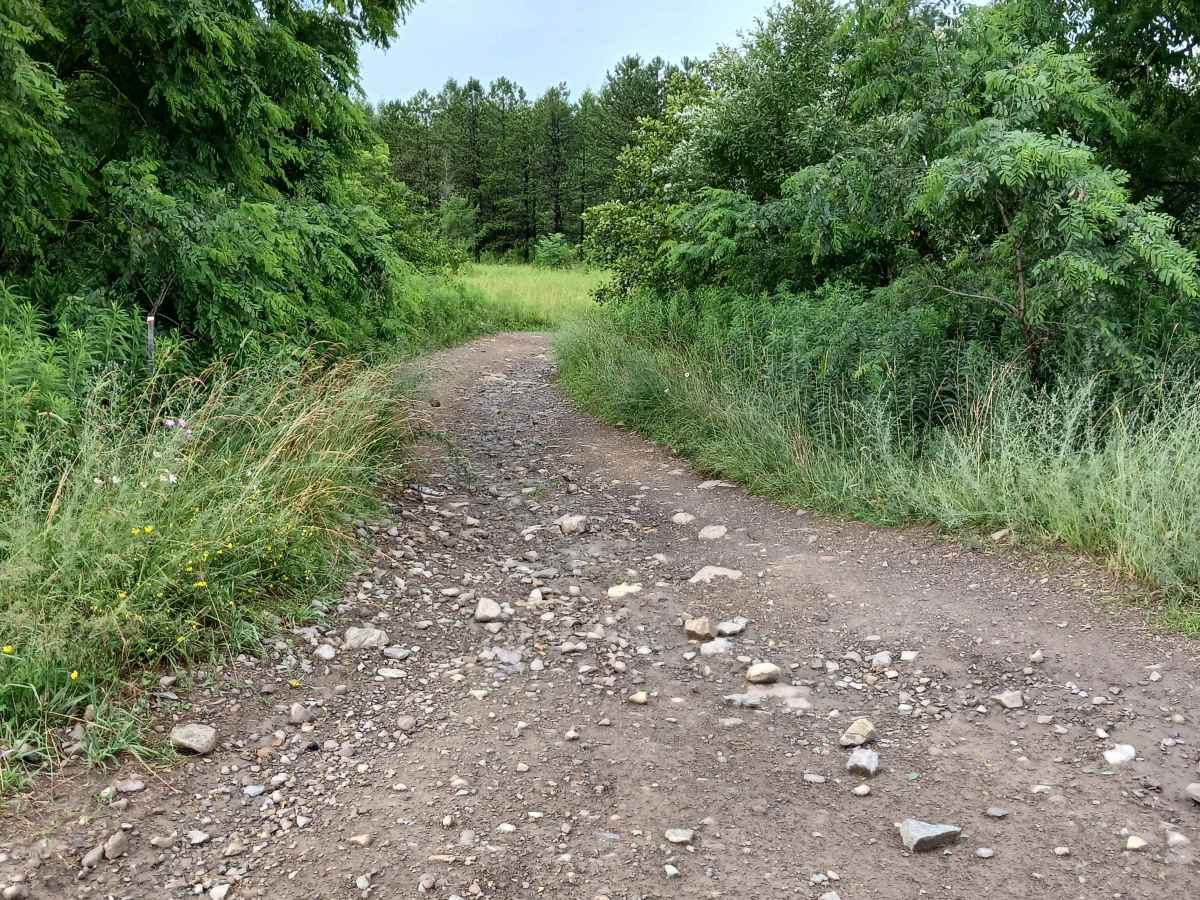 Trail 11C - Rock Run Recreation Area photo 2
