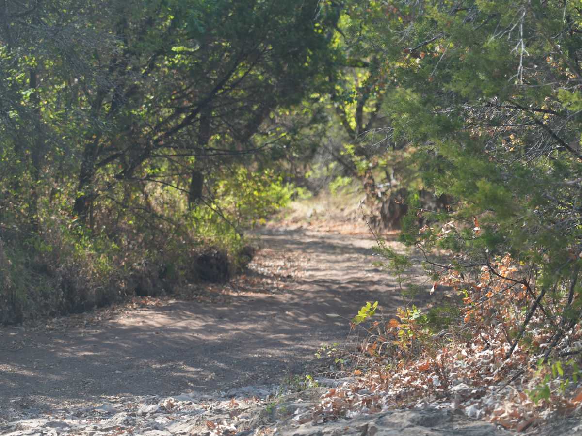 Green 53 trail photo