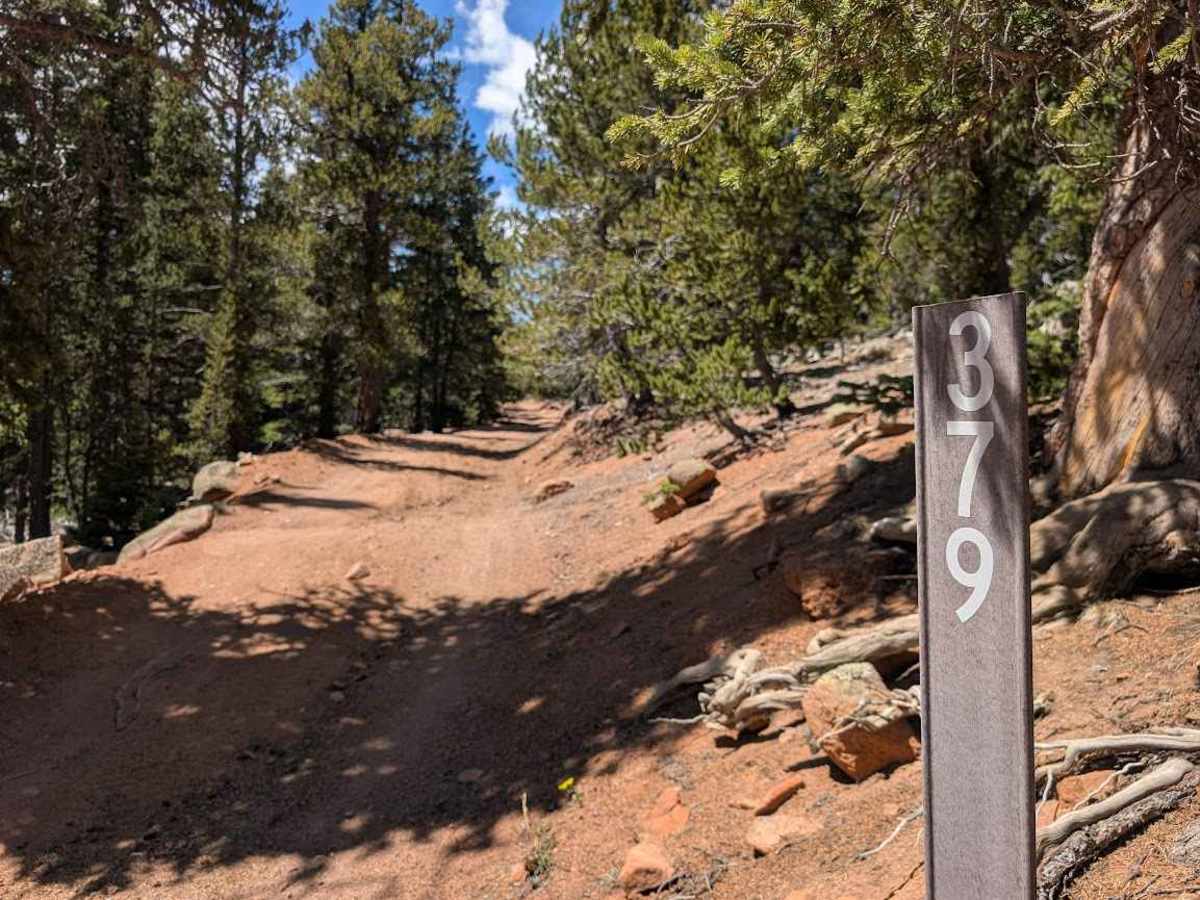 Frosty Park Road trail photo