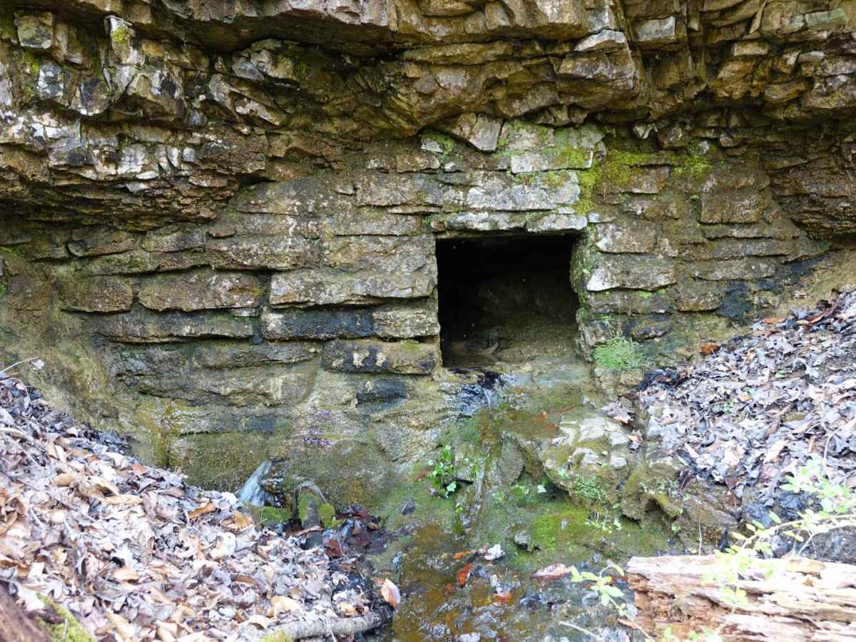 Mossy Springs photo 3