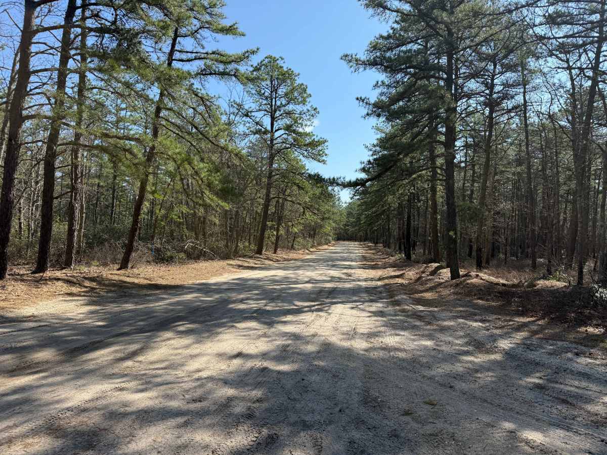 Mount Misery and Pasadena Road trail photo
