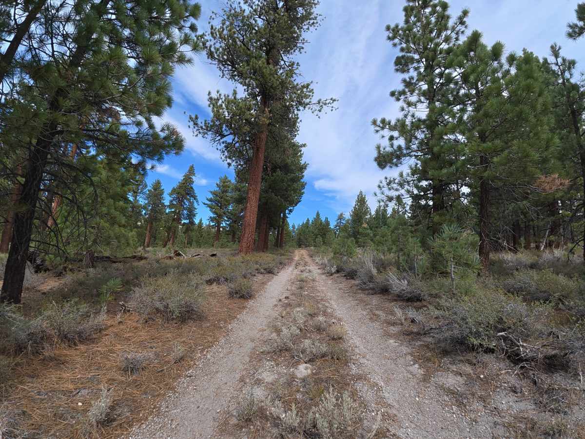Sandy Flats Access - FS 1S85 photo 5