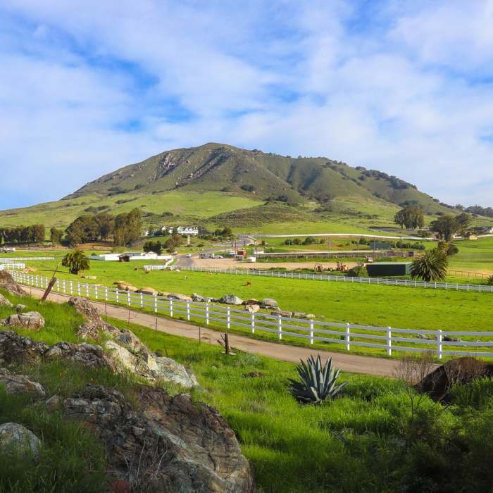 Near Cerro San Luis Peak