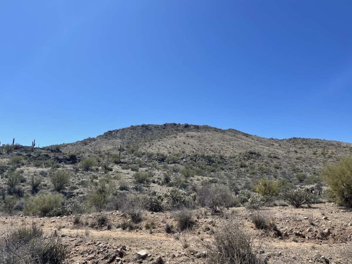 Lower Scenic Loop Road photo 2