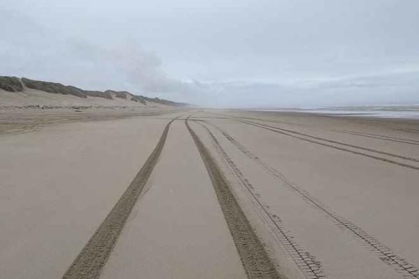 South Jetty Open Beach