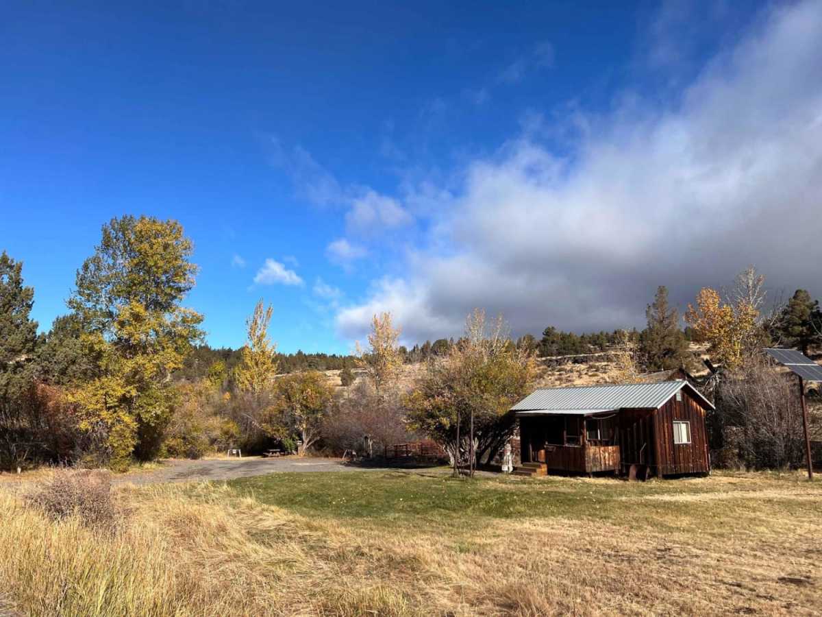 Riddle Brothers Ranch photo 3