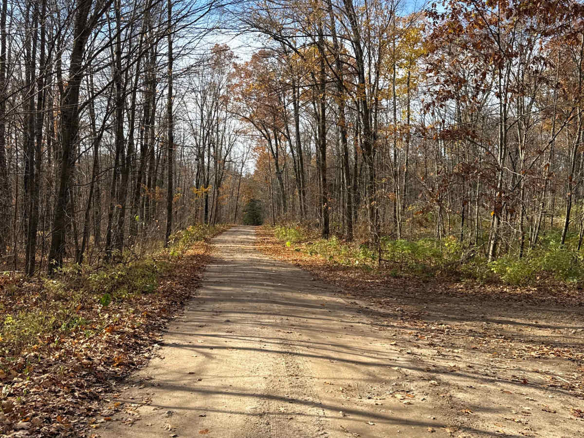 Norway Lake Loop photo 5