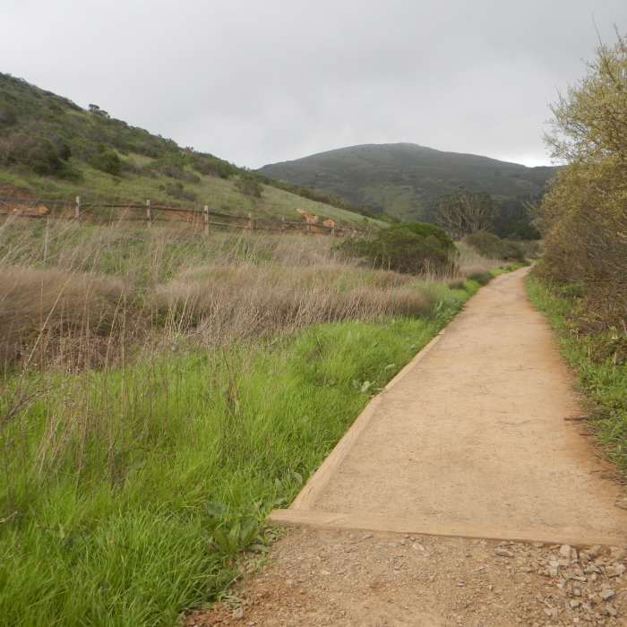 Near Tennessee Valley: Ridge Trail to Coast Loop