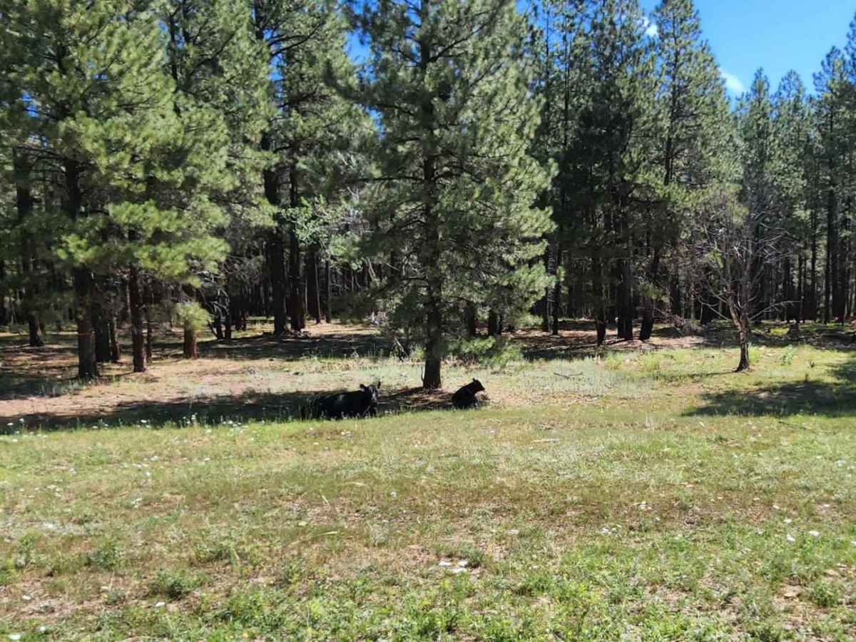 Beaver Point Road photo 4