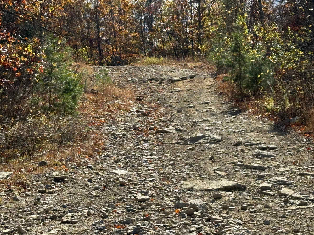 Trail 132 photo 5