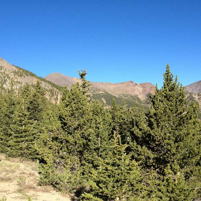 Near Kachina Trail #150