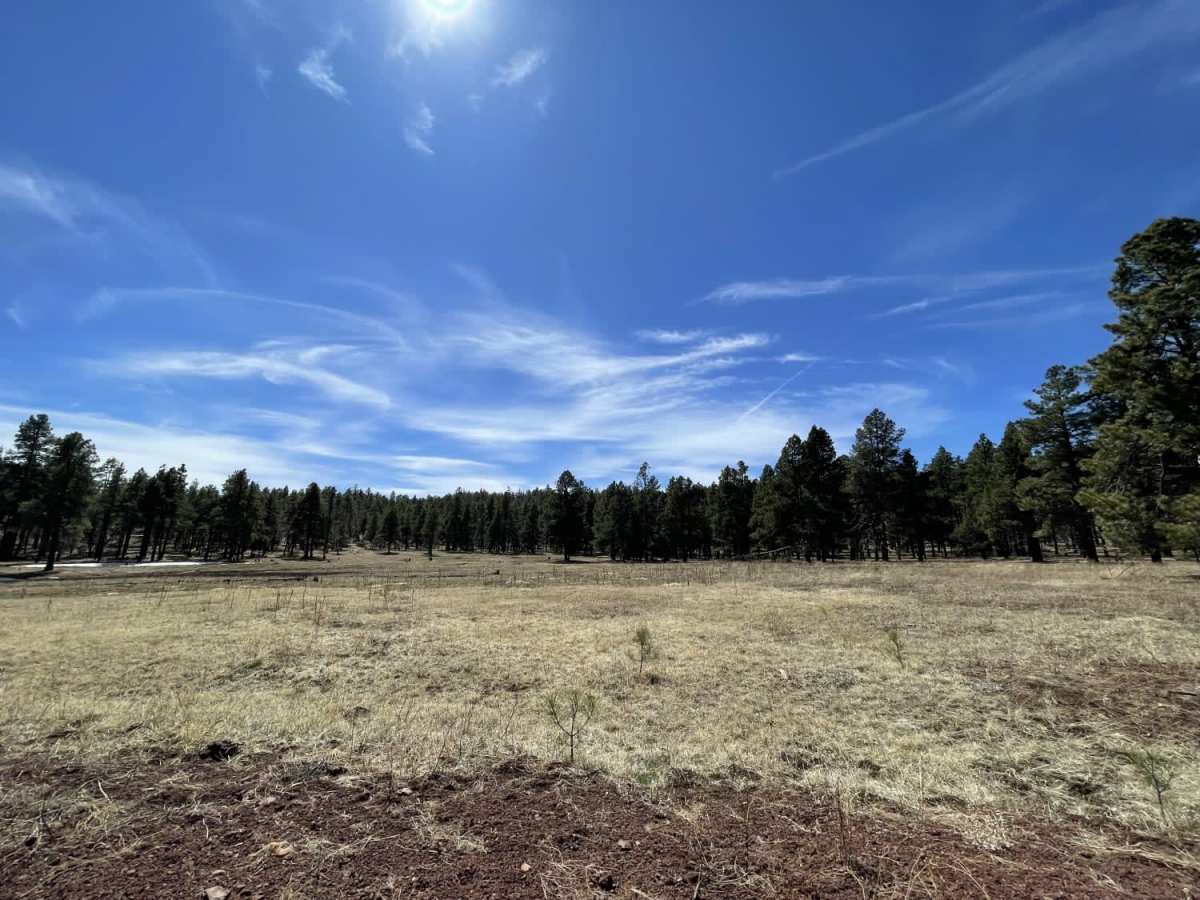 Gobbler Springs Road photo 5