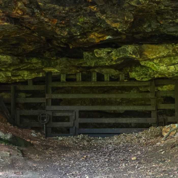 Near St. John's Creek Trail Near St. John's Creek Trail