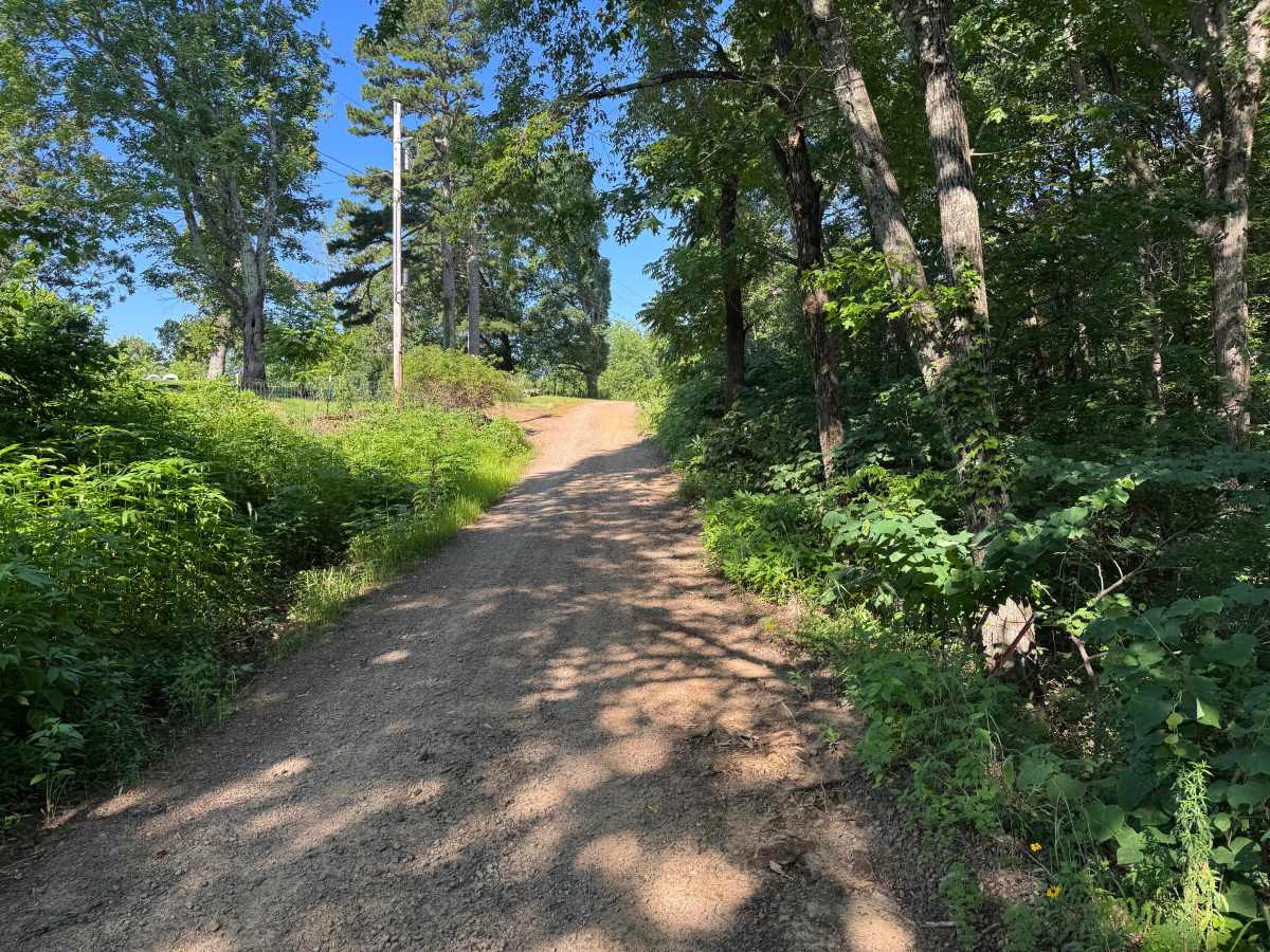 County Road 1465 photo 3