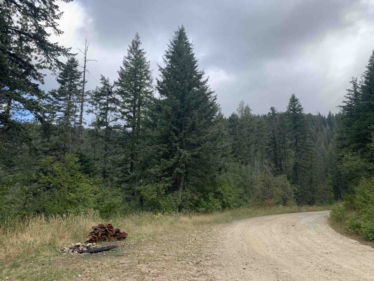 Horse Ridge Trail photo 5