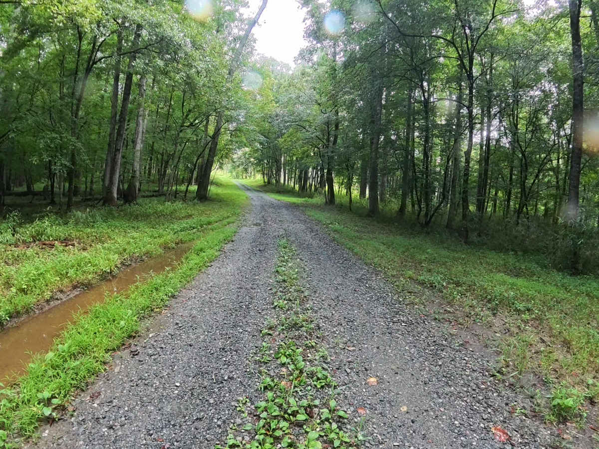 Anderson Bottoms Road photo 5