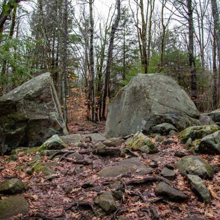 Near Wapack Trail to Mount Watatic and Pratt Mountain Near Wapack Trail to Mount Watatic and Pratt Mountain