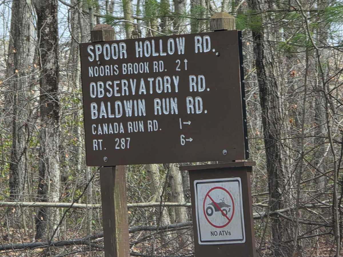 Observatory Road trail photo