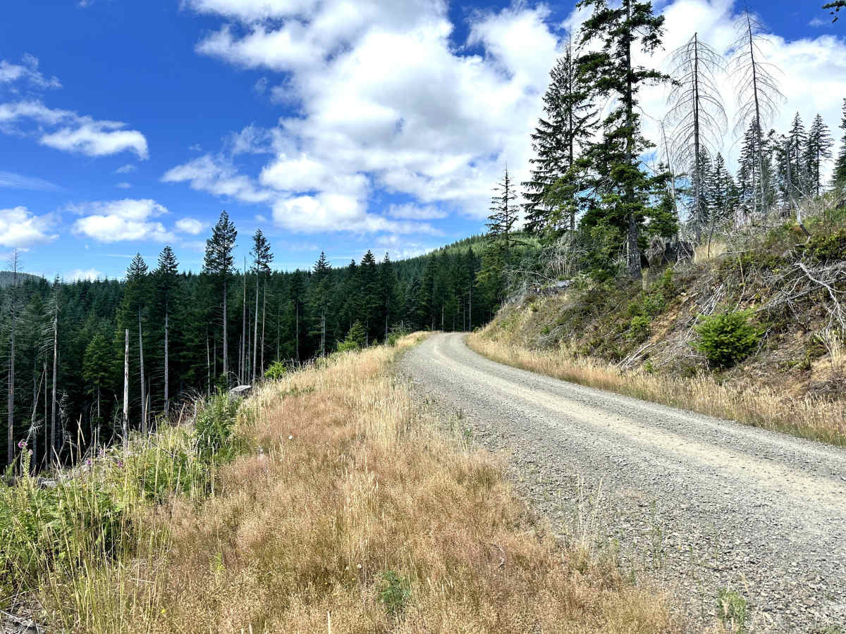 Wheeler Pond Road trail photo