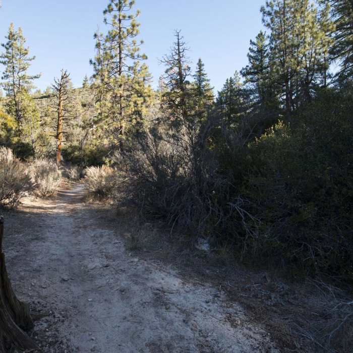 Near Silver Moccasin Trail Hike via Upper Chilao Trailhead